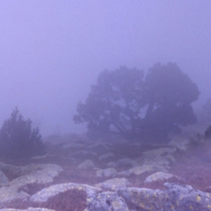 http://acutance.fr/files/gimgs/th-16_Loz06.jpg