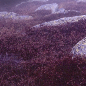 http://acutance.fr/files/gimgs/th-16_Loz07.jpg