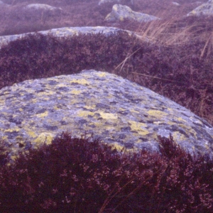 http://acutance.fr/files/gimgs/th-16_Loz08.jpg