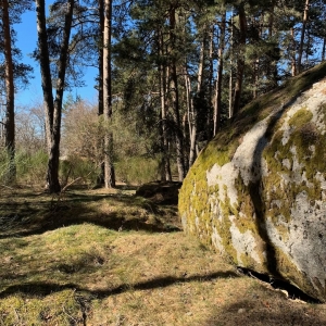 http://acutance.fr/files/gimgs/th-16_Loz25.jpg