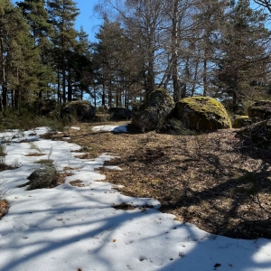 http://acutance.fr/files/gimgs/th-16_Loz26.jpg