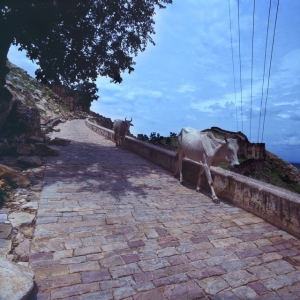 http://acutance.fr/files/gimgs/th-19_Ind10.jpg