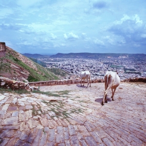 http://acutance.fr/files/gimgs/th-19_Ind11.jpg