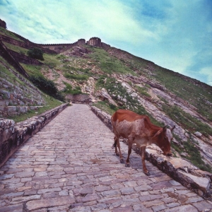 http://acutance.fr/files/gimgs/th-19_Ind12.jpg
