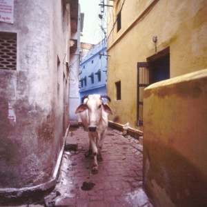 http://acutance.fr/files/gimgs/th-19_Ind14.jpg