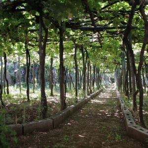 http://acutance.fr/files/gimgs/th-20_Ita3.jpg
