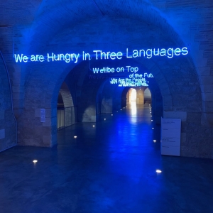 http://acutance.fr/files/gimgs/th-36_Cap4.jpg